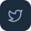 X icon